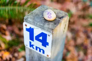 Běh 5 Km Průměrný Čas